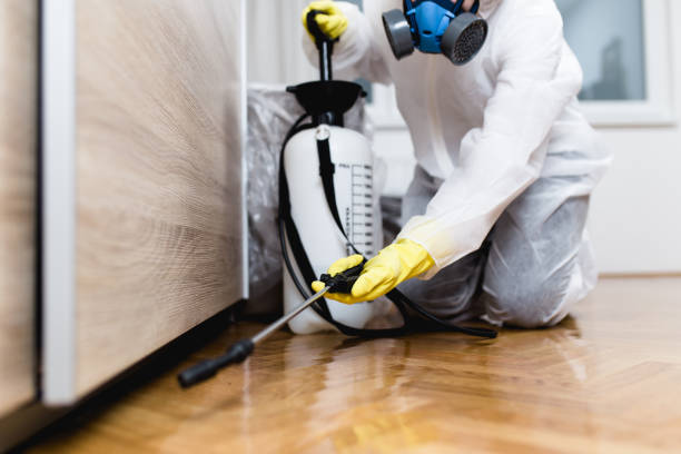 Best Commercial Pest Control Services  in Decorah, IA