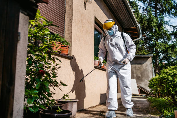 Best Mosquito Control Services  in Decorah, IA