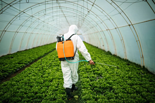Pest Control Cost in Decorah, IA