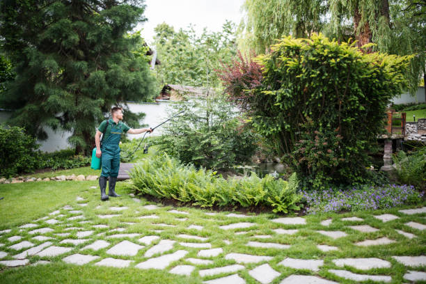 Best Ant Control Services  in Decorah, IA
