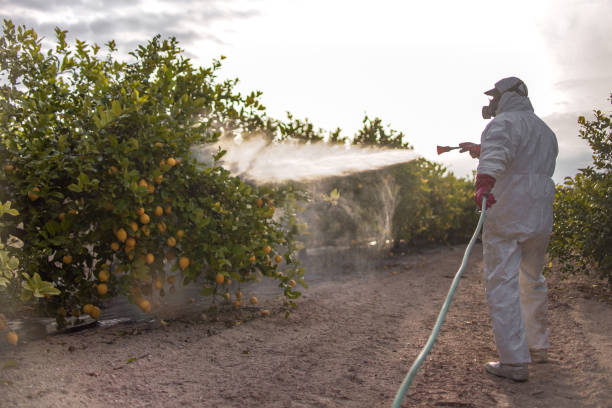 Best Exterminator Services  in Decorah, IA