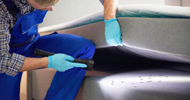 Best Local Pest Control Services  in Decorah, IA