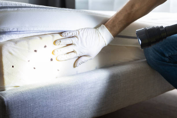 Best Pest Control Cost  in Decorah, IA