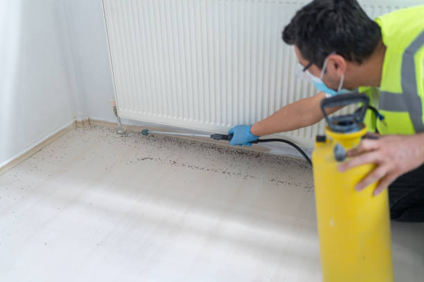 Best Pest Control for Homes  in Decorah, IA