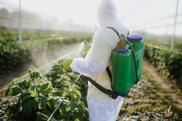Best Emergency Pest Control  in Decorah, IA